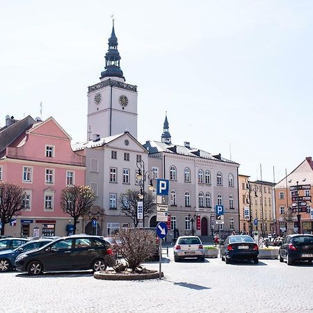 Super Komfortowe Mieszkanie - Mtb Narty Gory Sowie Дзержонюв Экстерьер фото